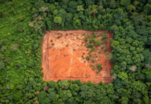 La incapacidad de marcar una hoja de ruta común hacia la transición energética marca la COP 30