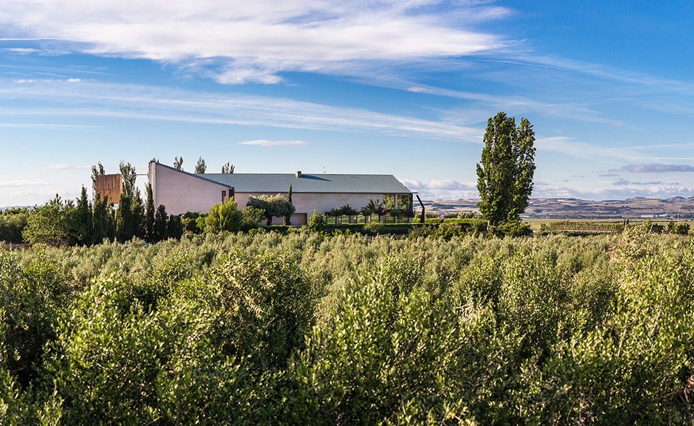 finca de Aceite Artajo
