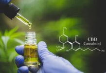 Com es fa un oli corporal autorentable de cànnabis CBD cómo hacer aceite corporal de CBD