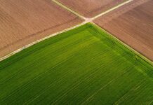 IFOAM Organics Europe welcomes the European Parliament own-initiative report on increasing access to biocontrol, while reminding the importance of preventive practices biocontrol