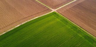 IFOAM Organics Europe welcomes the European Parliament own-initiative report on increasing access to biocontrol, while reminding the importance of preventive practices biocontrol