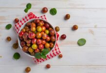 Camu-Camu, vitamina C i prevenció van juntes Camu-Camu
