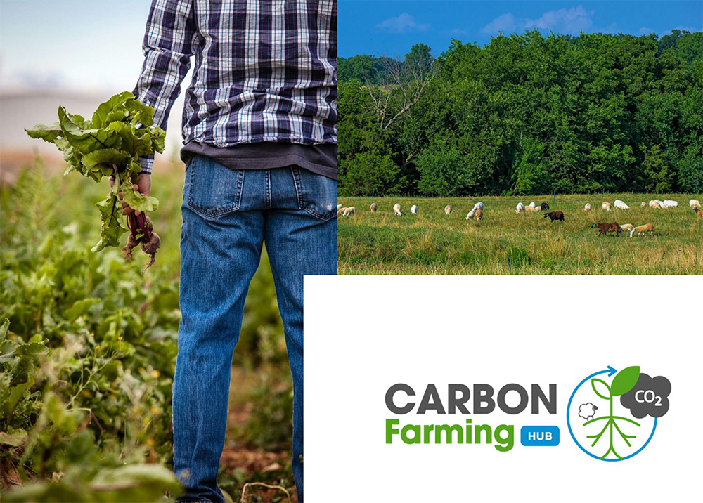 proyecto CarboFarmHub