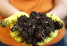 Las comunidades microbianas, la riqueza del suelo comunidades microbianas del suelo