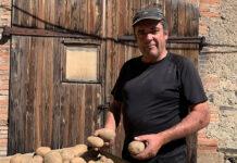 Patata de montaña: sabor, textura y oficio