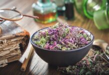 Plantas medicinales para la salud diaria: de la digestión al insomnio plantas medicinales para la salud diaria