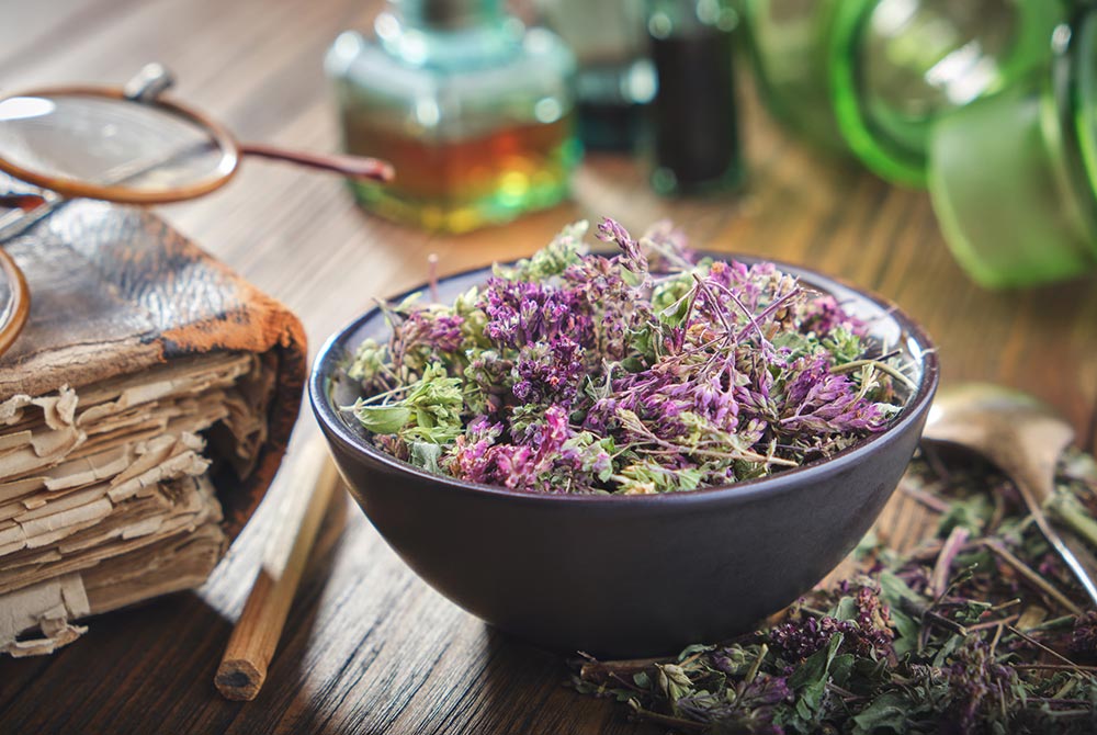 plantas medicinales para la salud diaria