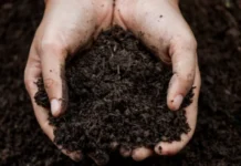 European Directive on Soil Monitoring and Resilience Approved soil health