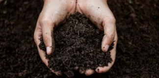 European Directive on Soil Monitoring and Resilience Approved soil health