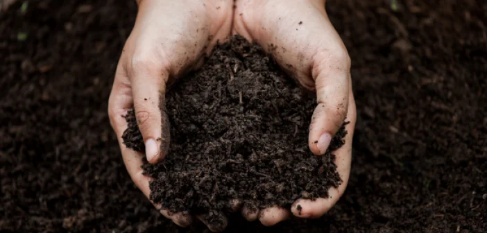soil health