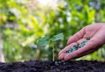 Italy: plant protection products down 18% and organic active ingredients booming (+133%) FITOSANITARIOS
