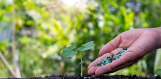 Italy: plant protection products down 18% and organic active ingredients booming (+133%) FITOSANITARIOS