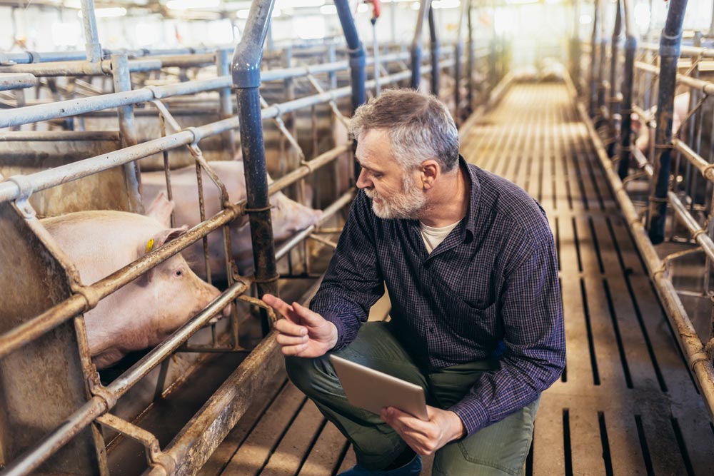 Antibióticos y hormonas en alimentos de origen animal