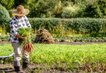 IFOAM Organics Europe warns the Council’s PRM position limits farmers’ choice and jeopardises agrobiodiversity jeopardises agrobiodiversity
