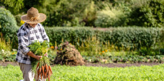 IFOAM Organics Europe warns the Council’s PRM position limits farmers’ choice and jeopardises agrobiodiversity jeopardises agrobiodiversity