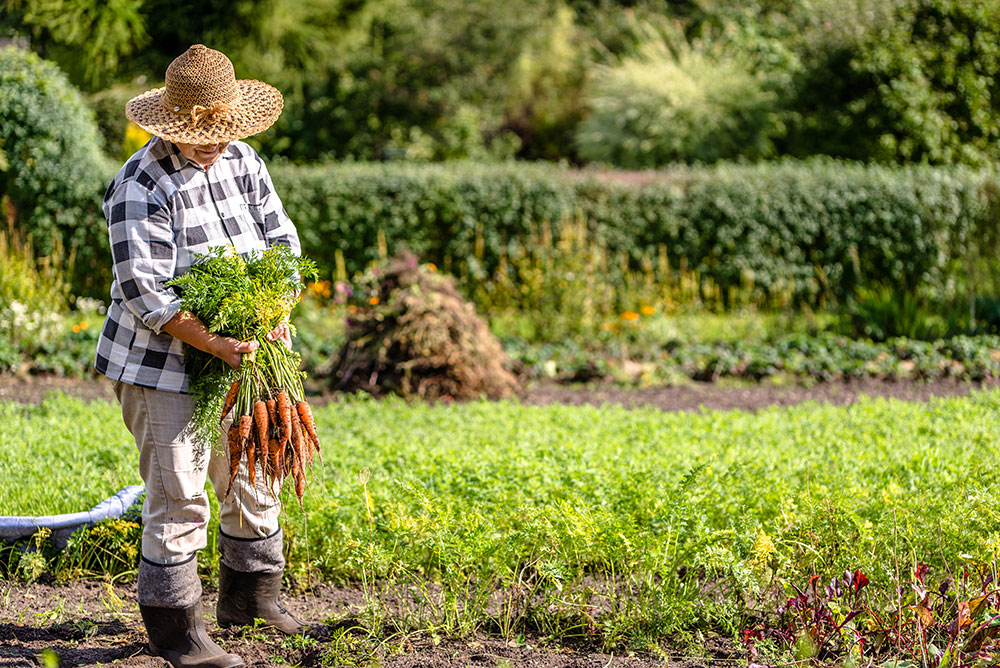 jeopardises agrobiodiversity