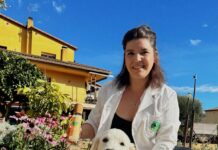 Nova gamma PET FRIENDLY de Giura: pensada especialment per la cura dels nostres peluts gama PET FRIENDLY de Giura