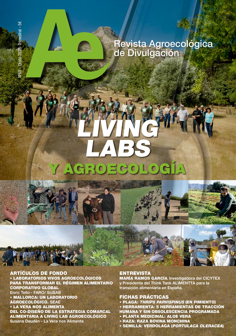 SEAE publica la edición 60 de la revista Ae