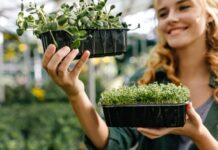 Producción ecológica y medio ambiente: beneficios que sí importan Producción ecológica y medio ambiente