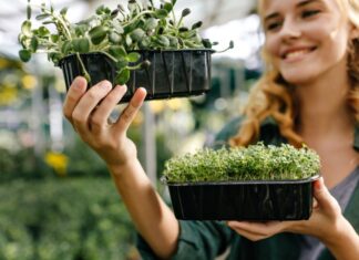 Producción ecológica y medio ambiente: beneficios que sí importan Producción ecológica y medio ambiente