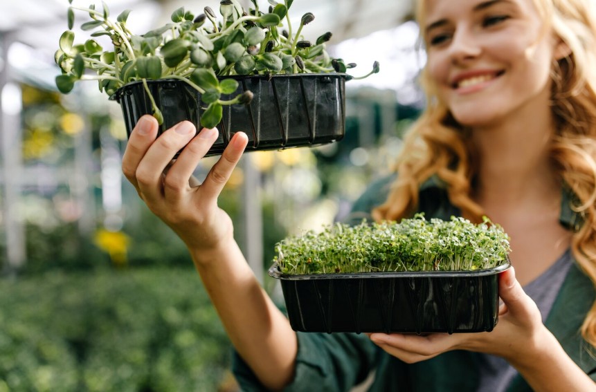 Producción ecológica y medio ambiente