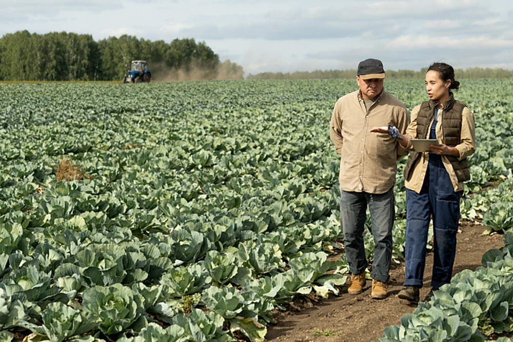 TP Organics calls to make the EU’s Framework Programme for Research and Innovation fit 