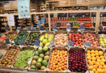 La alimentación ecológica ya está presente en el 67% de los hogares españoles la alimentación ecológica ya está presente en el 67% de los hogares españoles