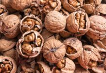 Alimentos ecológicos ricos en omega-3 vegetal: cómo introducirlos en nuestro día a día omega-3 vegetal