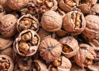 Aliments ecològics rics en omega-3 vegetal: com introduir-los al nostre dia a dia omega-3 vegetal
