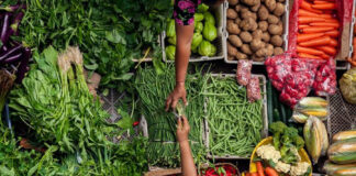 EU Commission’s proposal to revise the organic regulation undermines the principle of equivalence principle of equivalence