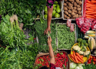 La propuesta de la Comisión Europea de revisar el Reglamento sobre productos ecológicos socava el principio de equivalencia principle of equivalence