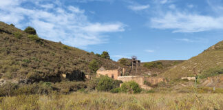 Soil regeneration across Spain: Insights from the InBestSoil experimental sites and field-level observations InBestSoil project