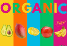 From six continents to BIOFACH: BioTropic celebrates over two decades of organic excellence BioTropic