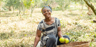 IPD: organic sourcing for development IPD