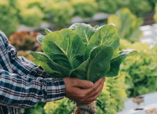 BIOFACH 2026: Organic farming to remain a flagship pillar of the European Common Agricultural Policy Organic farming cap