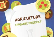 La agricultura ecológica sigue siendo estratégica para la UE agricultura
