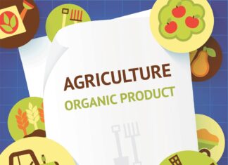 La agricultura ecológica sigue siendo estratégica para la UE agricultura