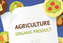 L’agricultura ecològica continua sent estratègica per a la UE agricultura