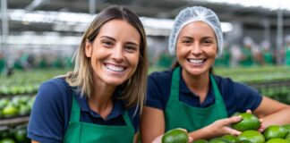 Updated policies and new opportunities at EU level for organic food and farming IFOAM
