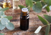 Respirar amb consciència: plantes aromàtiques, ciència i benestar respiratori