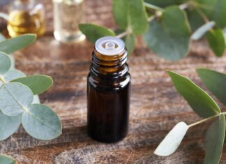 Respirar amb consciència: plantes aromàtiques, ciència i benestar respiratori