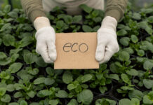 Producción ecológica certificada: requisitos, sellos y controles Producción ecológica certificada_ requisitos, sellos y controles