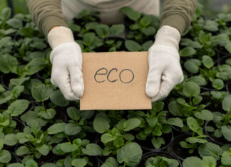 Producción ecológica certificada: requisitos, sellos y controles Producción ecológica certificada_ requisitos, sellos y controles