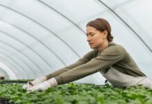 Producción ecológica: cómo funciona y por qué marca la diferencia Producción ecológica_ cómo funciona y por qué marca la diferencia