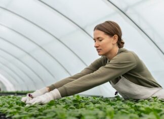 Producción ecológica: cómo funciona y por qué marca la diferencia Producción ecológica_ cómo funciona y por qué marca la diferencia
