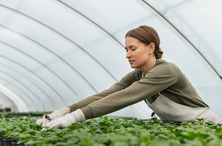 Producción ecológica_ cómo funciona y por qué marca la diferencia