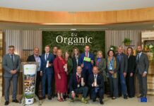 Cinquena edició dels Premis Ecològics de la UE: inscripcions fins el 26 d’abril EU Organic Awards 2025