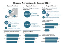 El mercado ecológico europeo establece otro récord en 2024: las tierras agrícolas se mantienen estables en 19,6 millones de hectáreas