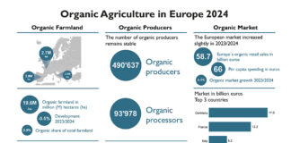 Europe’s organic market sets another record in 2024 – Farmland stable at 19.6 million hectares