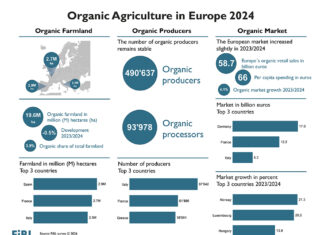 El mercado ecológico europeo establece otro récord en 2024: las tierras agrícolas se mantienen estables en 19,6 millones de hectáreas